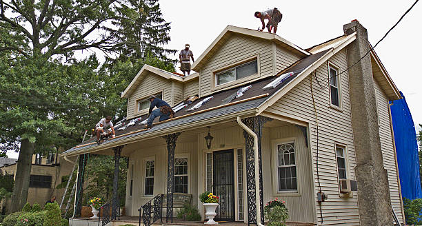 Best Emergency Roof Repair  in Brookville, IN